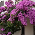 Apartmán Stunning In With House Sea View *
