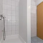 Gorgeous In With Wifi Apartment