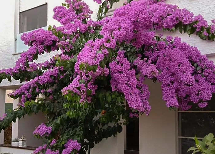 Appartement Gorgeous In With Wifi *